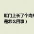 肛门上长了个肉疙瘩很痛怎么回事（肛门长了个肉疙瘩很痛是怎么回事）