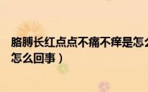 胳膊长红点点不痛不痒是怎么回事（胳膊长小红点不痛不痒怎么回事）