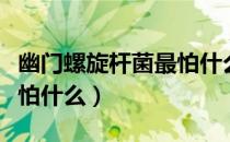 幽门螺旋杆菌最怕什么蔬菜（幽门螺旋杆菌最怕什么）