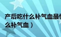 产后吃什么补气血最快最好最安全（产后吃什么补气血）