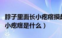 脖子里面长小疙瘩摸起来硬硬的（脖子里面长小疙瘩是什么）