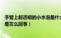 手臂上起透明的小水泡是什么原因（手臂上长透明的小水泡是怎么回事）