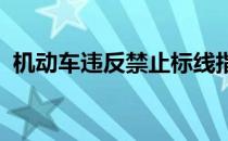 机动车违反禁止标线指示的处罚是什么意思