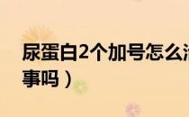 尿蛋白2个加号怎么治愈（尿蛋白2个加号有事吗）