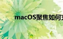 macOS聚焦如何充分利用搜索结果