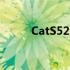 CatS52坚固耐用的智能手机评测