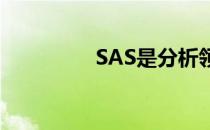 SAS是分析领域的领导者