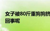 女子被80斤重狗狗挤下沙发大哭 到底是怎么回事呢