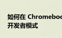 如何在 Chromebook 上打开 ChromeOS 开发者模式