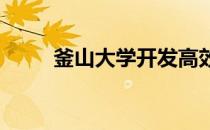 釜山大学开发高效钠离子电池负极