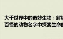 大千世界中的奇妙生物：解锁超炫动物名称之密——从千奇百怪的动物名字中探索生命的奥秘