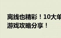 离线也精彩！10大单机离线手机游戏推荐及游戏攻略分享！