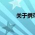 关于携带16寸电脑方便性的探讨