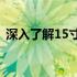 深入了解15寸电脑尺寸：规格、优势与应用