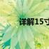 详解15寸笔记本电脑大小及其特点