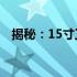 揭秘：15寸工业平板电脑价格及购买指南