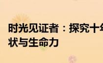 时光见证者：探究十年前的联想笔记本电脑现状与生命力