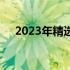 2023年精选商务笔记本电脑全方位解析