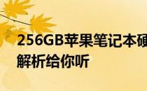 256GB苹果笔记本硬盘空间是否够用？全面解析给你听