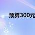 预算300元，二手笔记本电脑选购指南