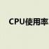 CPU使用率100%的原因分析及解决方案