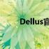 Dellus官网：探索最新技术与产品