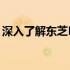 深入了解东芝M306主板：性能、特点与应用