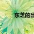 东芝的出售之路：究竟花落谁家？