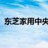 东芝家用中央空调：品质、性能与舒适并存