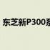 东芝新P300系列硬盘：深度解析差异与特点