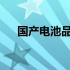 国产电池品牌实力榜：最新排行榜一览