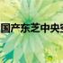 国产东芝中央空调性能解析：优点与劣势一览