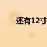 还有12寸笔记本吗？带你了解现状！