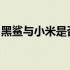 黑鲨与小米是否分道扬镳？揭秘二者关系现状