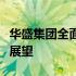 华盛集团全面解析：历程、业务、成就与未来展望